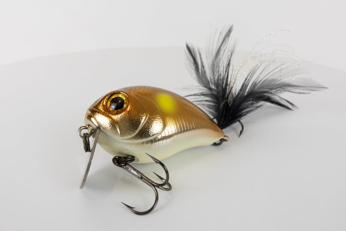 Bassday Wilder's Gems