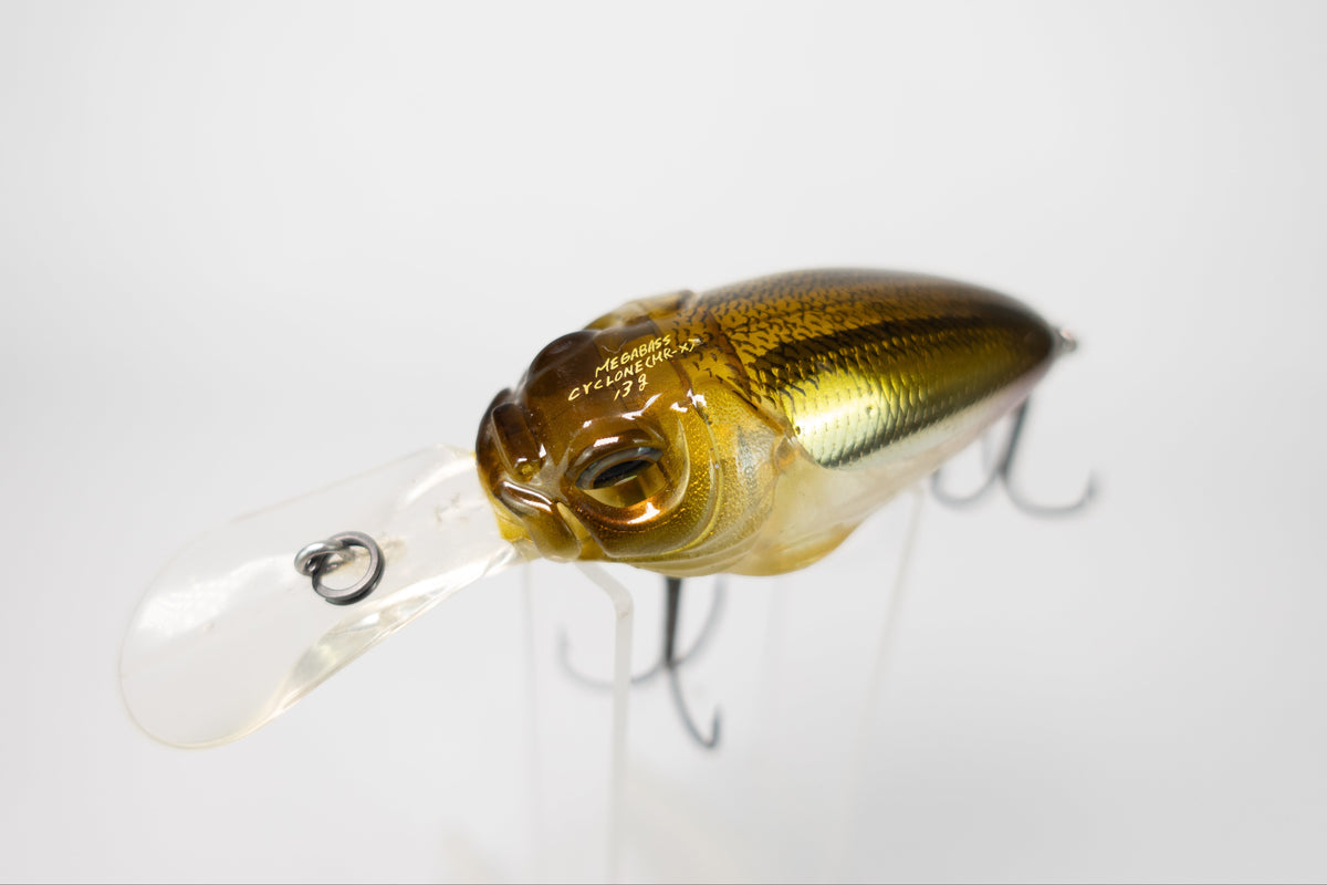 Megabass Cyclone MR-X