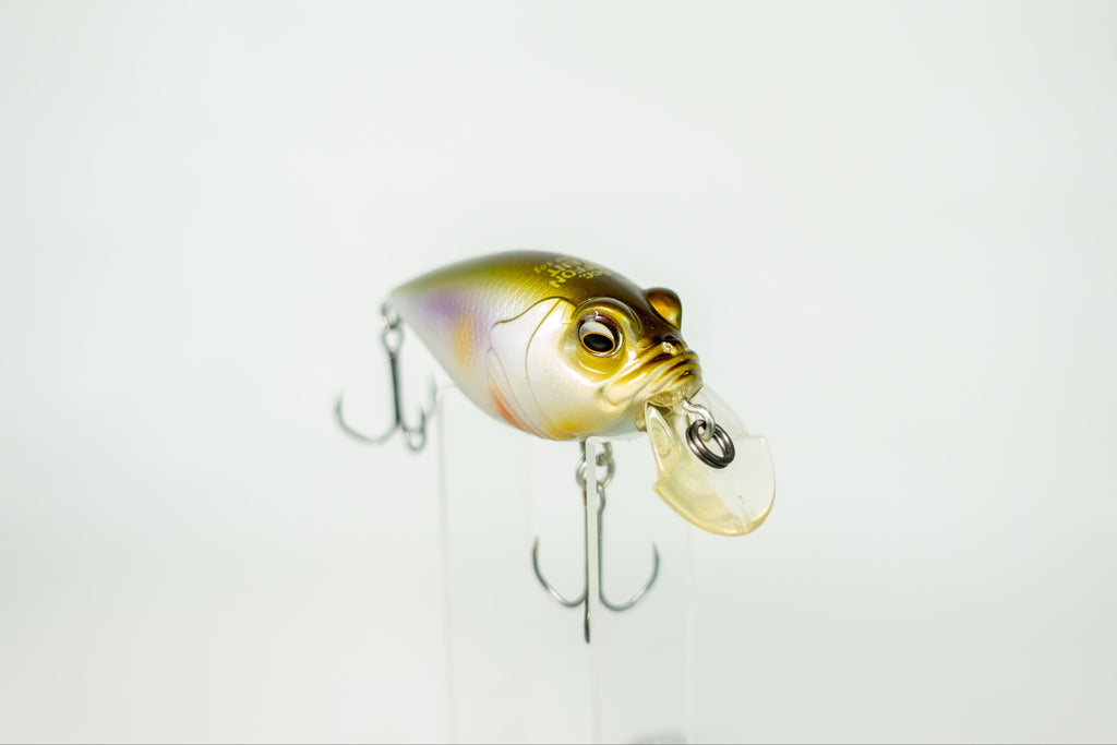 Megabass 6CC Griffon Silent