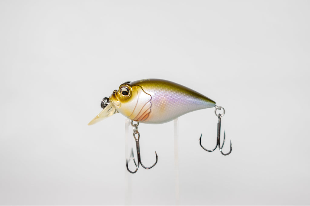 Megabass 6CC Griffon Silent