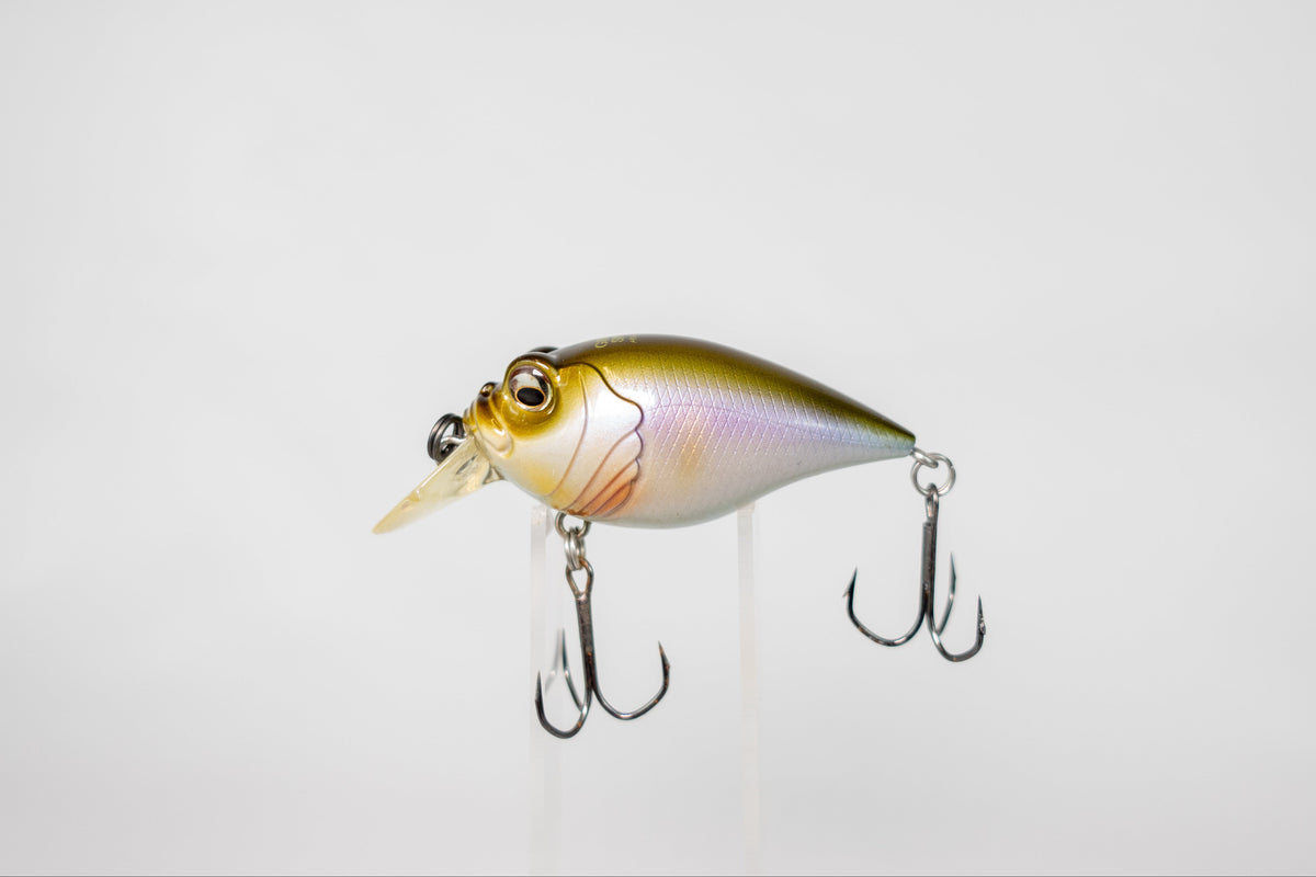 Megabass 6CC Griffon Silent