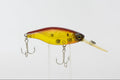 Jackall / Lake Police RS-225