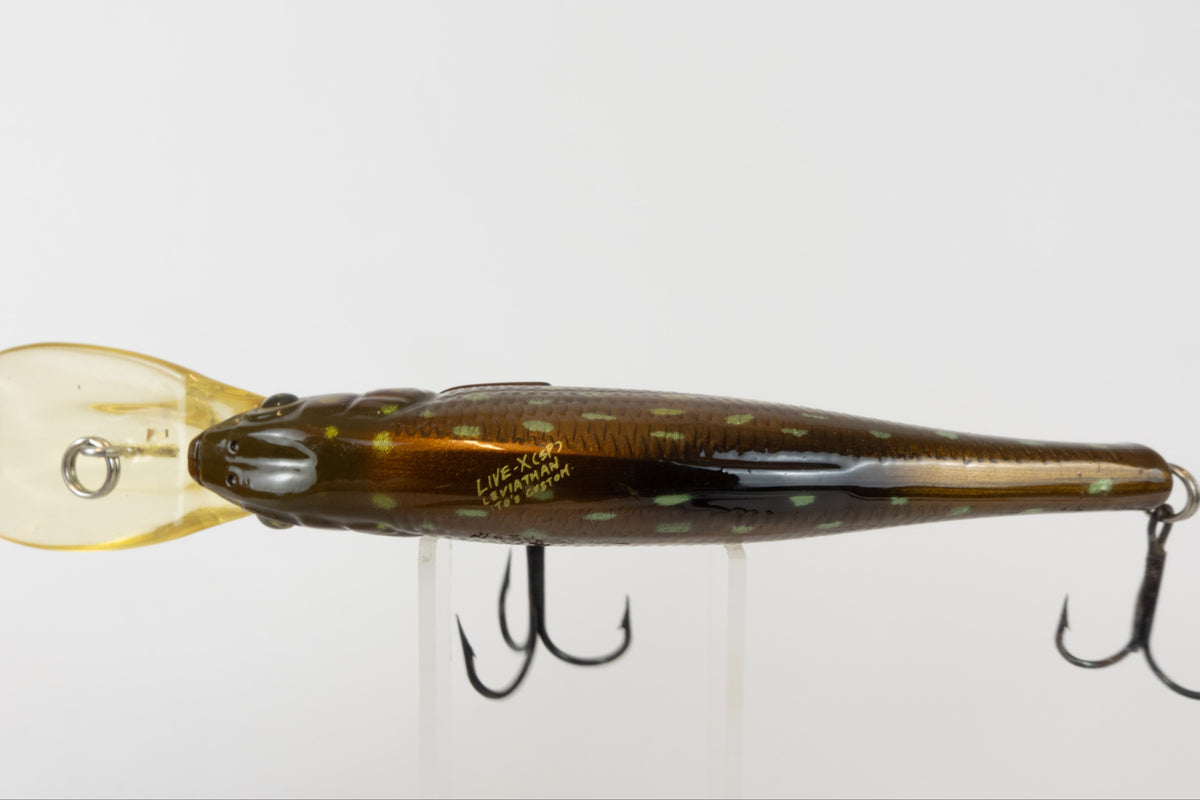 Megabass Live-X Laviathan (SP) Ito's Custom
