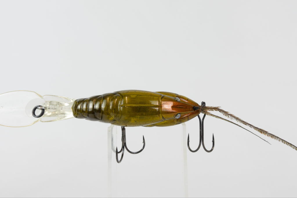 Megabass X-Dad - 2012