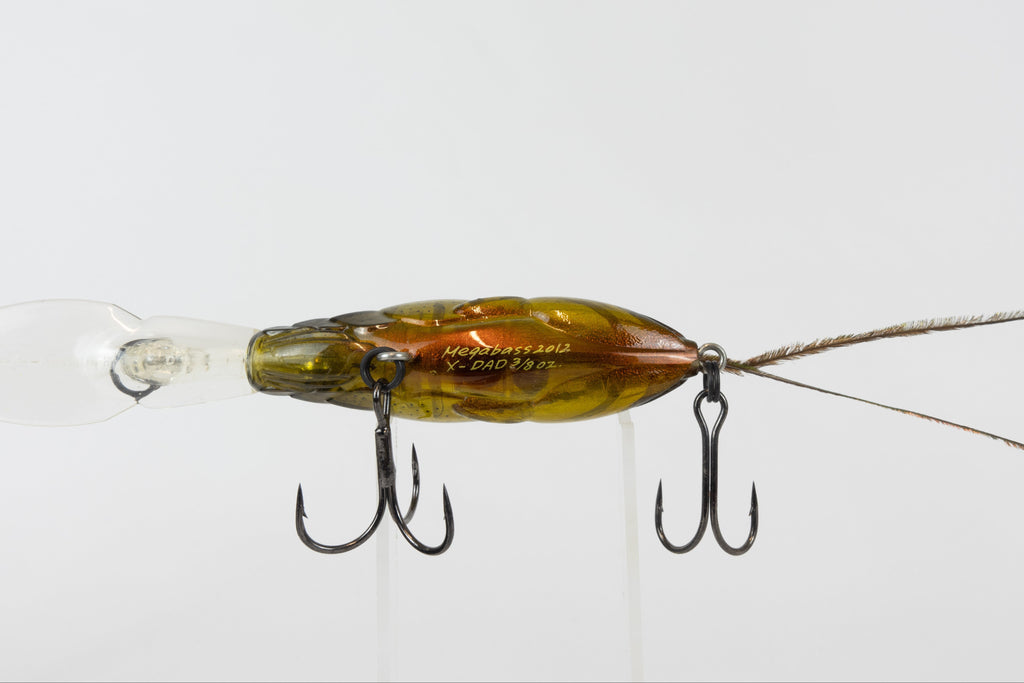 Megabass X-Dad - 2012