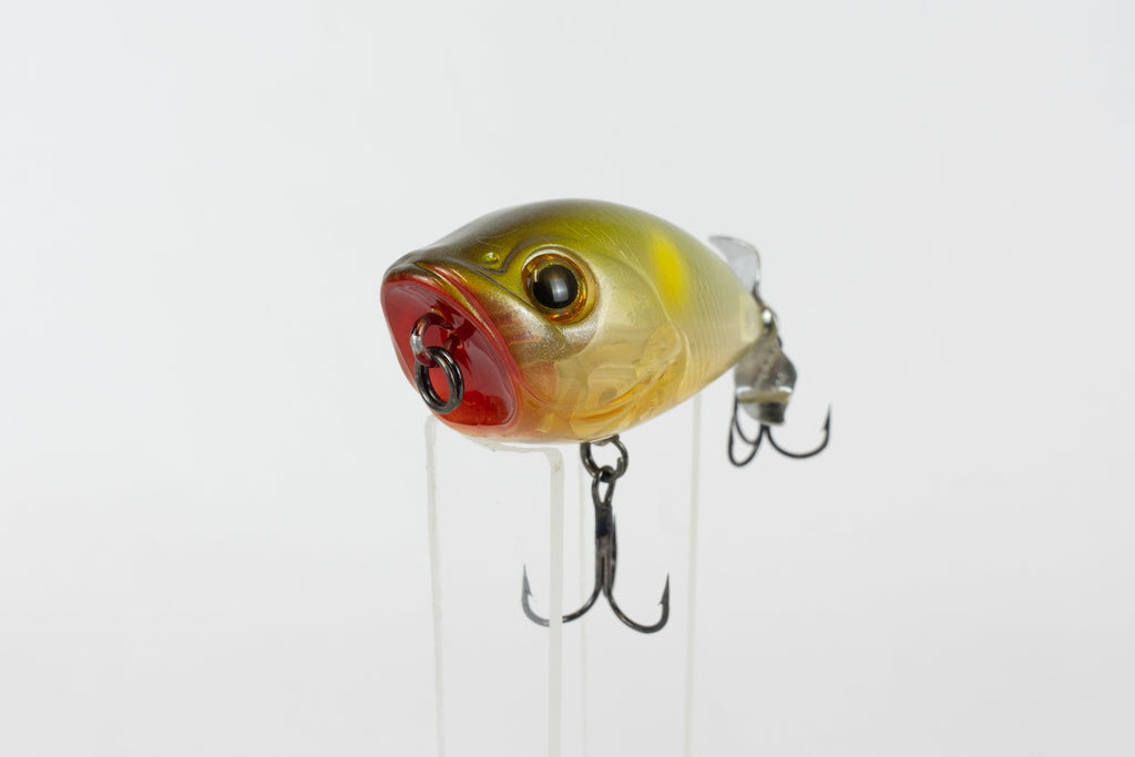 Bassday Bustle