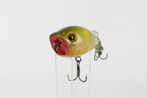 Bassday Bustle