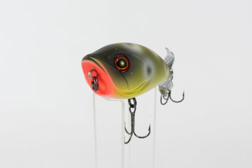 Bassday Bustle