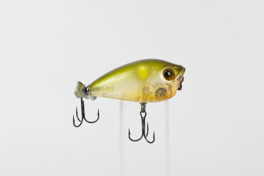 Bassday Bustle
