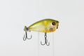Bassday Bustle
