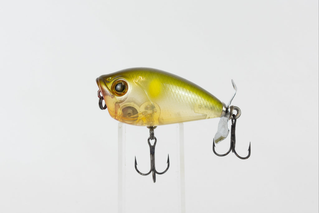 Bassday Bustle