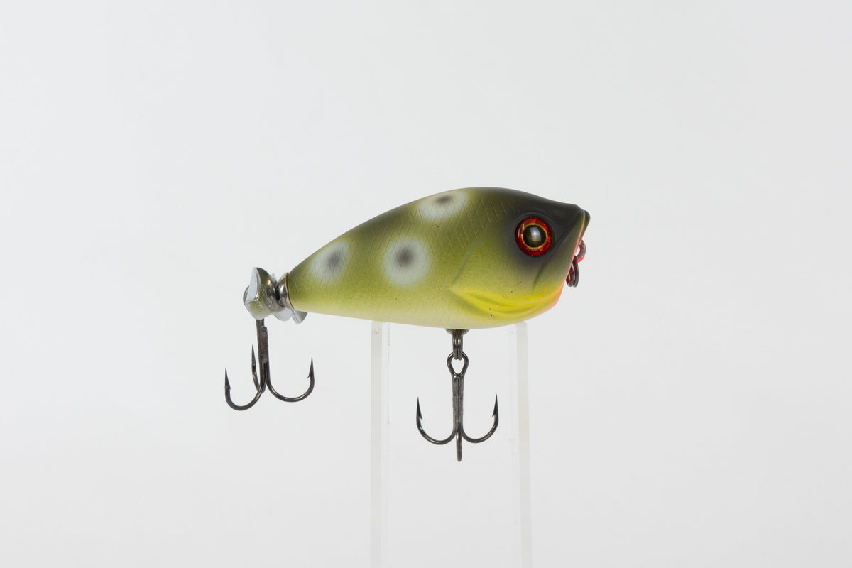 Bassday Bustle