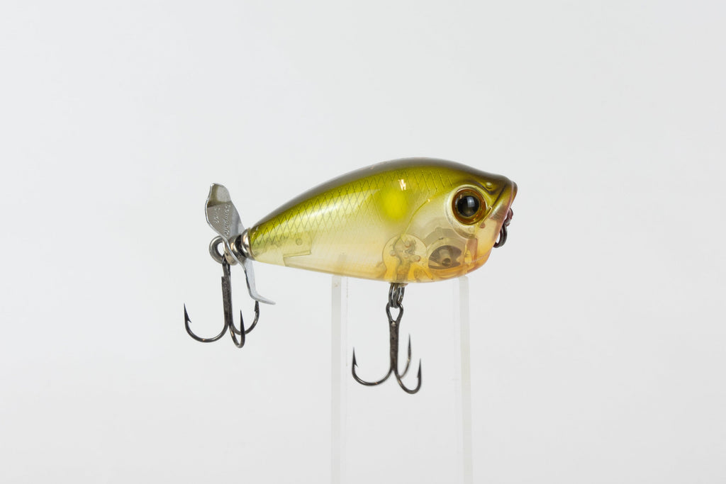Bassday Bustle