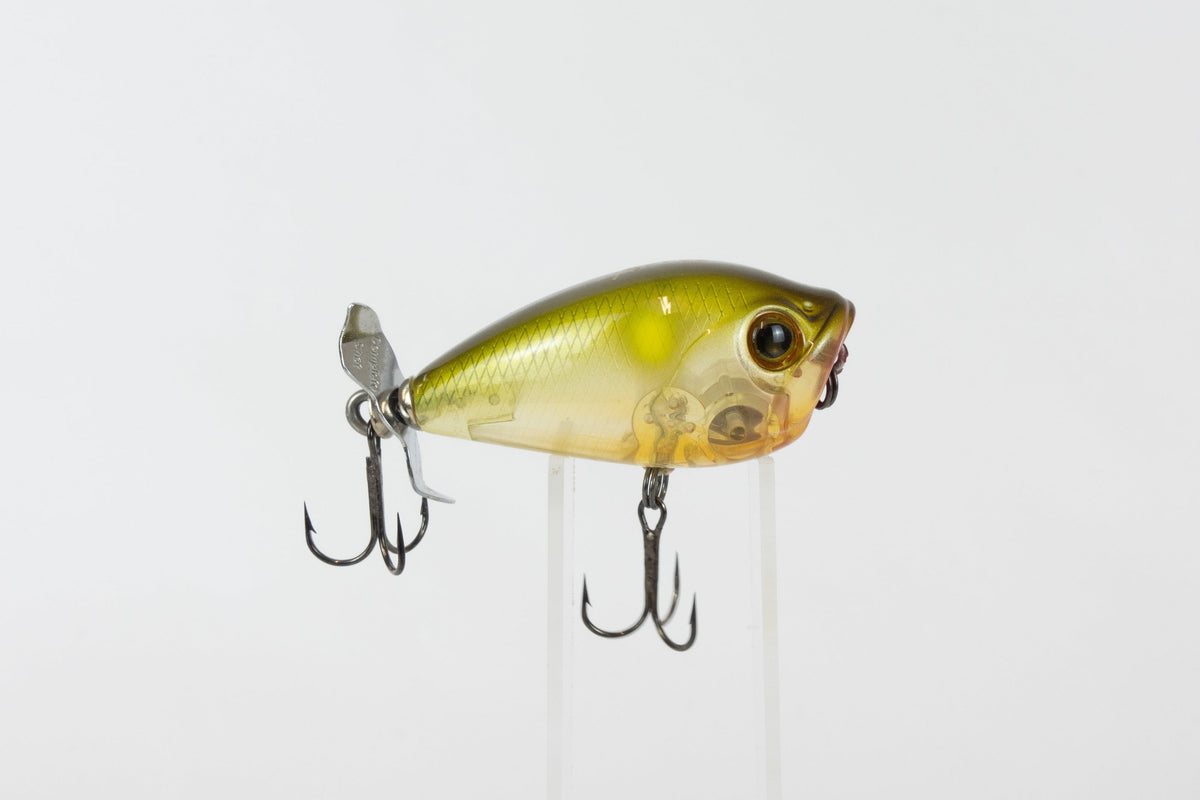 Bassday Bustle