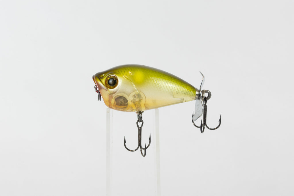 Bassday Bustle