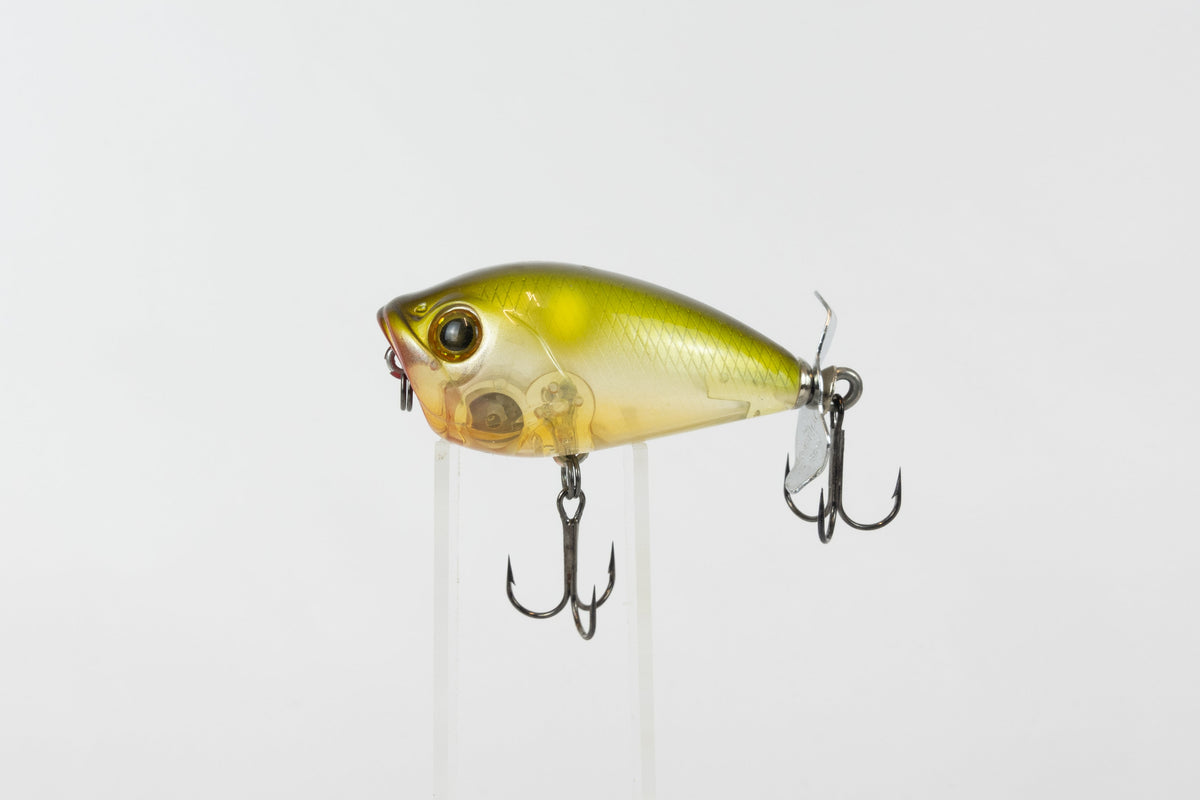 Bassday Bustle