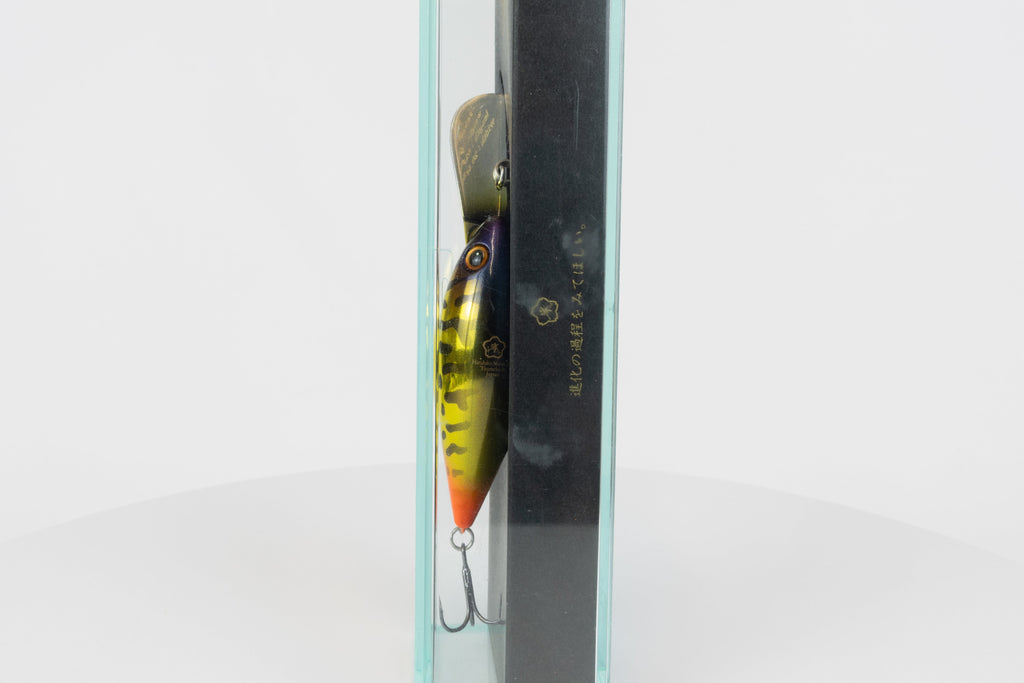 Tsunekichi Hama Crank 62MR - Gold Black (Plated), discontinued japanese fishing lure, new in original packaging, back view. 