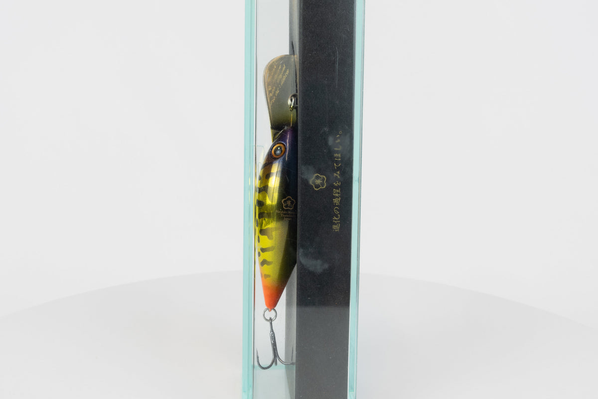 Tsunekichi Hama Crank 62MR - Gold Black (Plated), discontinued japanese fishing lure, new in original packaging, back view. 